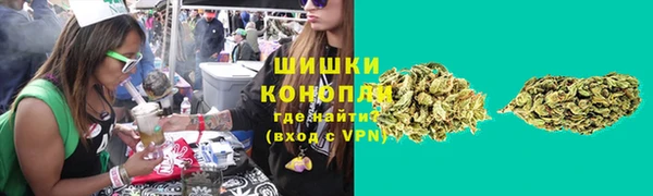 трава Белокуриха